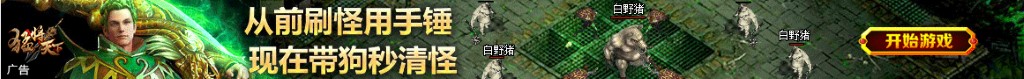 回转器电路